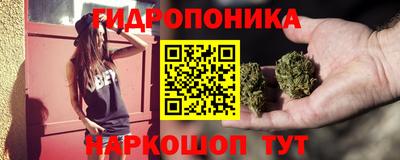 прущие грибы Пыть-Ях