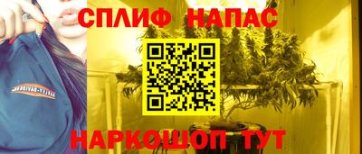 прущие грибы Пыть-Ях