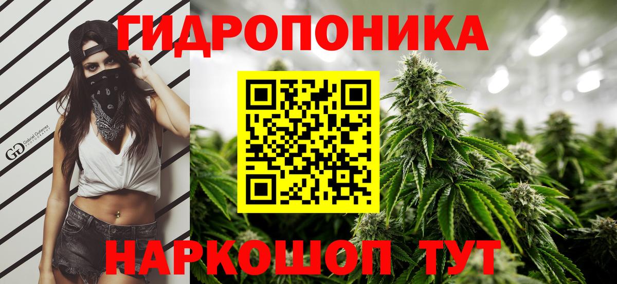 Канабис Ganja Свободный